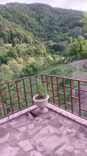 Arabachyan guest house in Kalavan