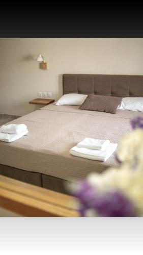 Pinelopi Hotel Room Type - Superior Apartment