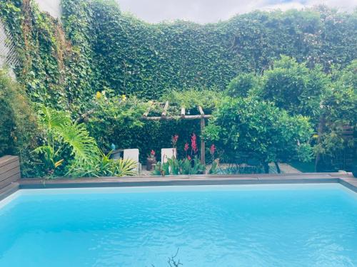 Úszómedence, The Green Retreat in A-Dos-Cunhados