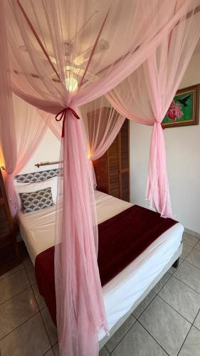 BEL Z 'IGUANE in Trois-Rivieres