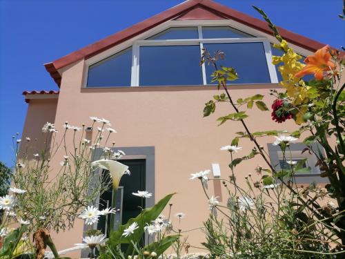 House Vila Santa Ana gîte à louer Ponta de Santana