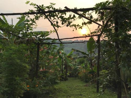 Apkārtne, Flower Hill Garden Retreat in Kasunganyanja
