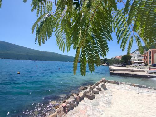 Nearby attraction, Apartments Skipper bay Baosici in Denovici