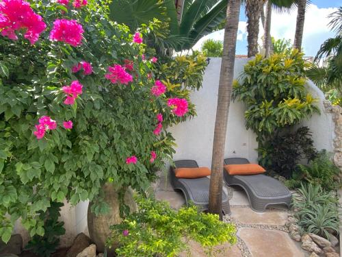 Hotel Para Ti - Adults Only