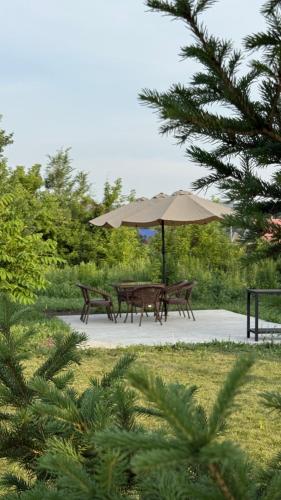 Wood house ukg in Oskemen