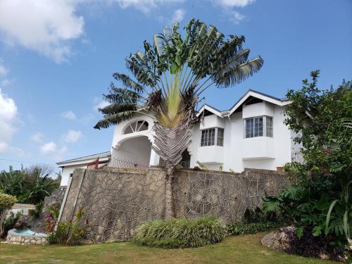 Näkymä, Mountain View Escape in Mandeville