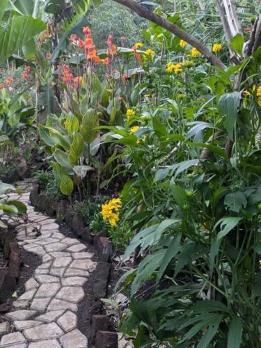 Apkārtne, Flower Hill Garden Retreat in Kasunganyanja