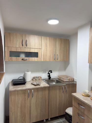 Apartman Dunavska Oaza in Donji Milanovac