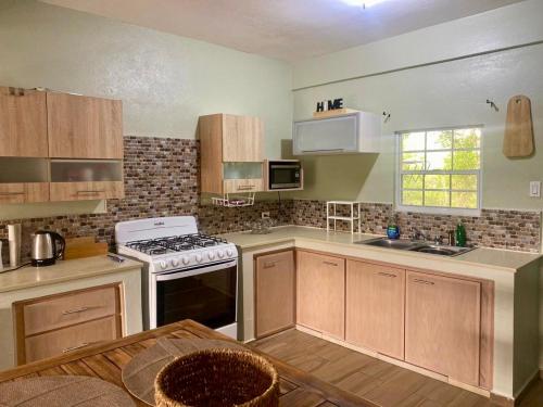 キッチン, Villa Conochi in グアナ ベイ