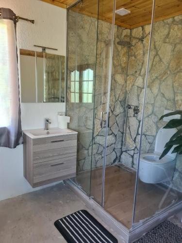 The house in the village, Tirana (Foto 7)