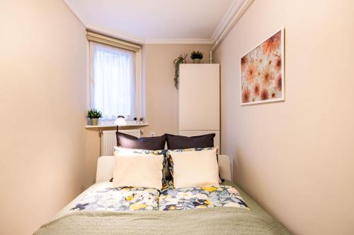 Cozy - New - Modern - image 4