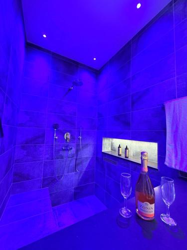 446 Private Suite, Center, Skadar (fotografie 7)