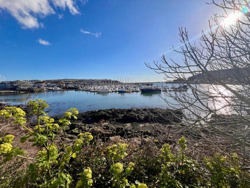 플리머스 The Barbican Penthouse 2성급 게스트하우스 객실