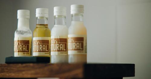 Casa Augusta - The Natural Lodgings And Retreats in Manteigas