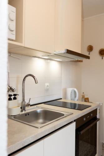 virtuve, Apartman oak Nikola's lamp in Gospic