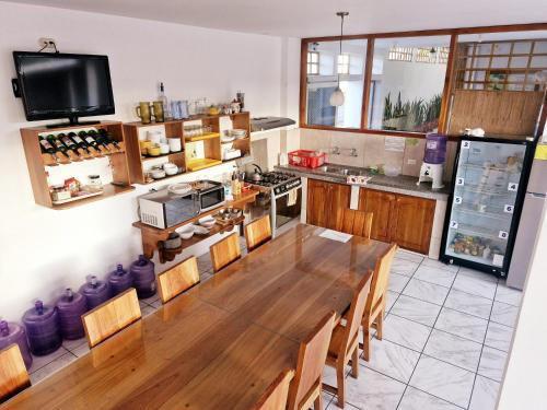 Cocina, La Mirada Del Solitario George in Galapagos