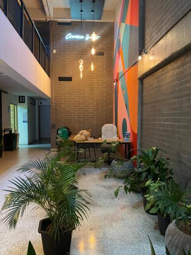Apartaestudio GoldensMary Buenos Aires, Medellín (foto 8)