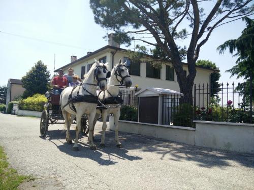 La Siesta BnB Villafranca di Verona