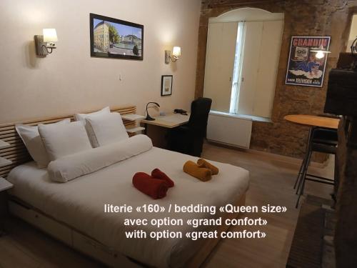 Studio Charme et Confort aux Cordeliers, Lyon (Foto 7)