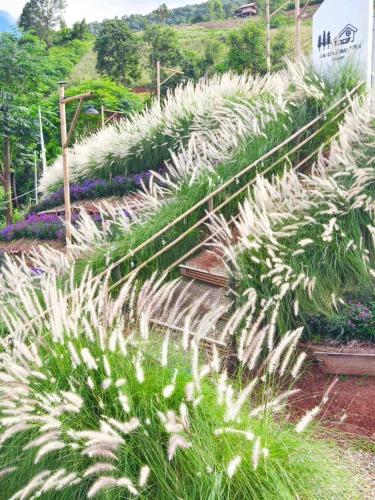 Bamboo-House@BanWen - 정원