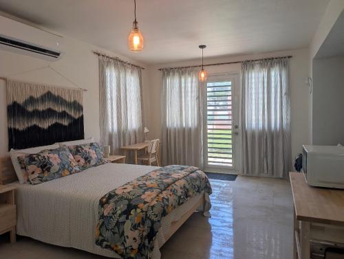 Explorers Fortuna Studio in Luquillo