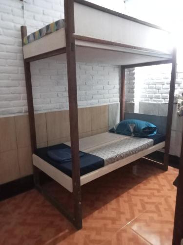 Apollo Hostel, Lovina (fotografie 4)