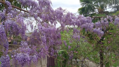 Nunu's Guesthouse in 茨卡爾圖博