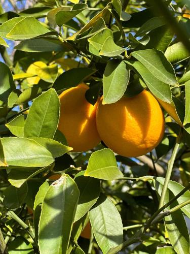 Nunu's Guesthouse in 茨卡爾圖博