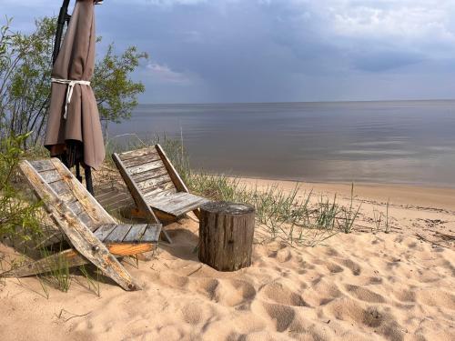 Katase Tiny House, Secluded Beachfront Cabin on Lake Peipus in Kauksi