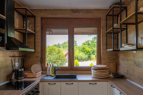 The Rock Star's Villa with Private Pool and Beach in Danilovgrad