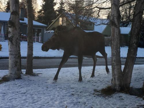 Turnagain Guest House