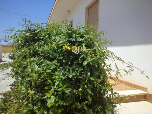 Casa Bianca da Giusy - image 9