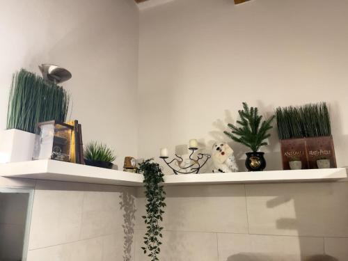 Dream & Scream Apartament in Caronno Pertusella