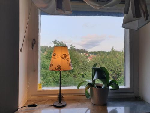 Cozy apt in 50s villa 10 min tram ride to city, Göteborg (foto 4)
