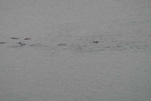 Incredible Views in ไอส์แลนด์เบย์