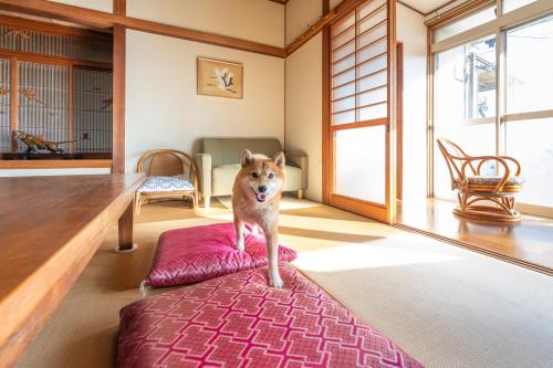 古民家民泊ーよかよー