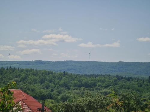 Приватна садиба "Лідія" in 特鲁斯卡维