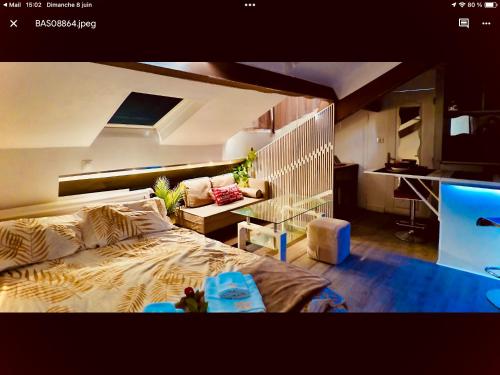 Studio atypique central mais calme, quartier VIP, plage 50m, Nice (photo 4)