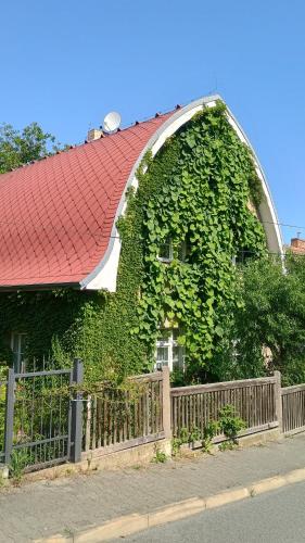 Green Point - 25 min to the center by tram, Praga (foto 8)