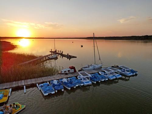 Zacisze Bis