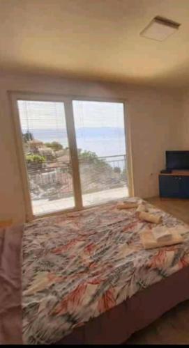 Private rooms N&S in Trpejca