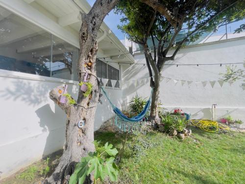 Dārzs, HOUSE "Il GIARDINO DI MALU'" A DUE PASSI DAL MARE DEL SALENTO in Santa Maria Al Bagno