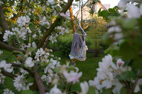 Vila Joana - image 4