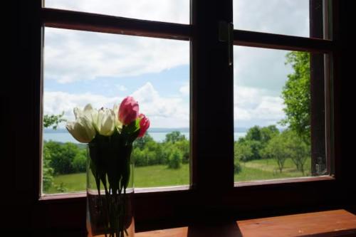Katti Cottage Panorama Balaton in Vazoli