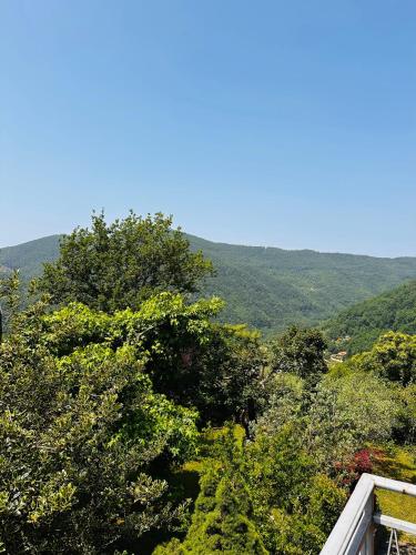 Навколишнє середовище, Il Giardino di Monterole Cà d'Pini (Il Giardino di Monterole Ca d'Pini) in Баньоне