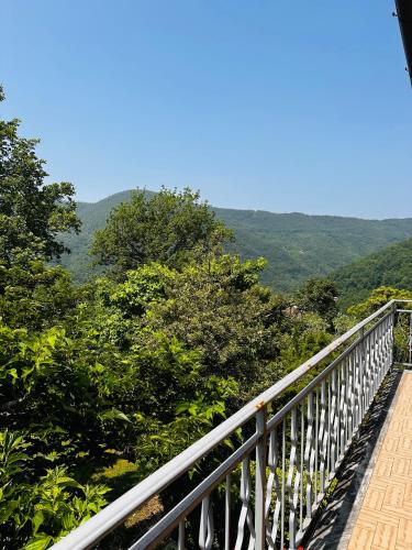 Навколишнє середовище, Il Giardino di Monterole Cà d'Pini (Il Giardino di Monterole Ca d'Pini) in Баньоне