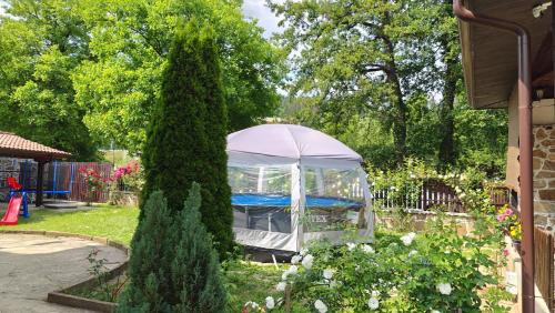 Къщи за гости Тепавица - Pool & Coworking, Trjavna (fotografie 9)