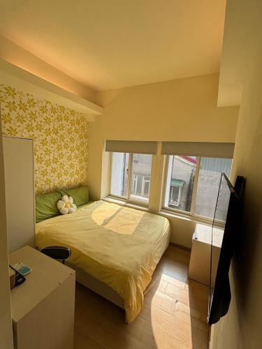 Zhongshan 19 - image 4