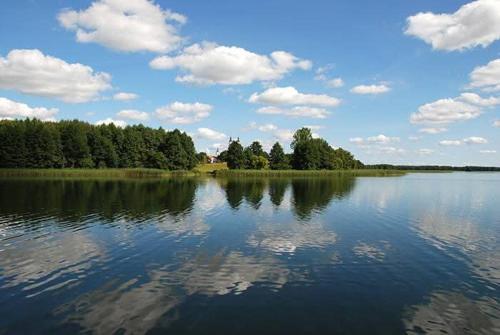 Domek całoroczny (Domek caloroczny) in Buda Ruska