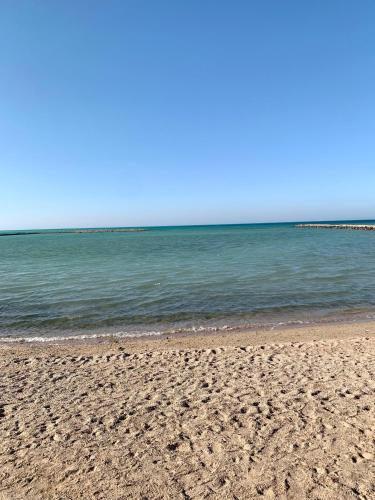 Turtles Beach Resort - Hurghada - image 4